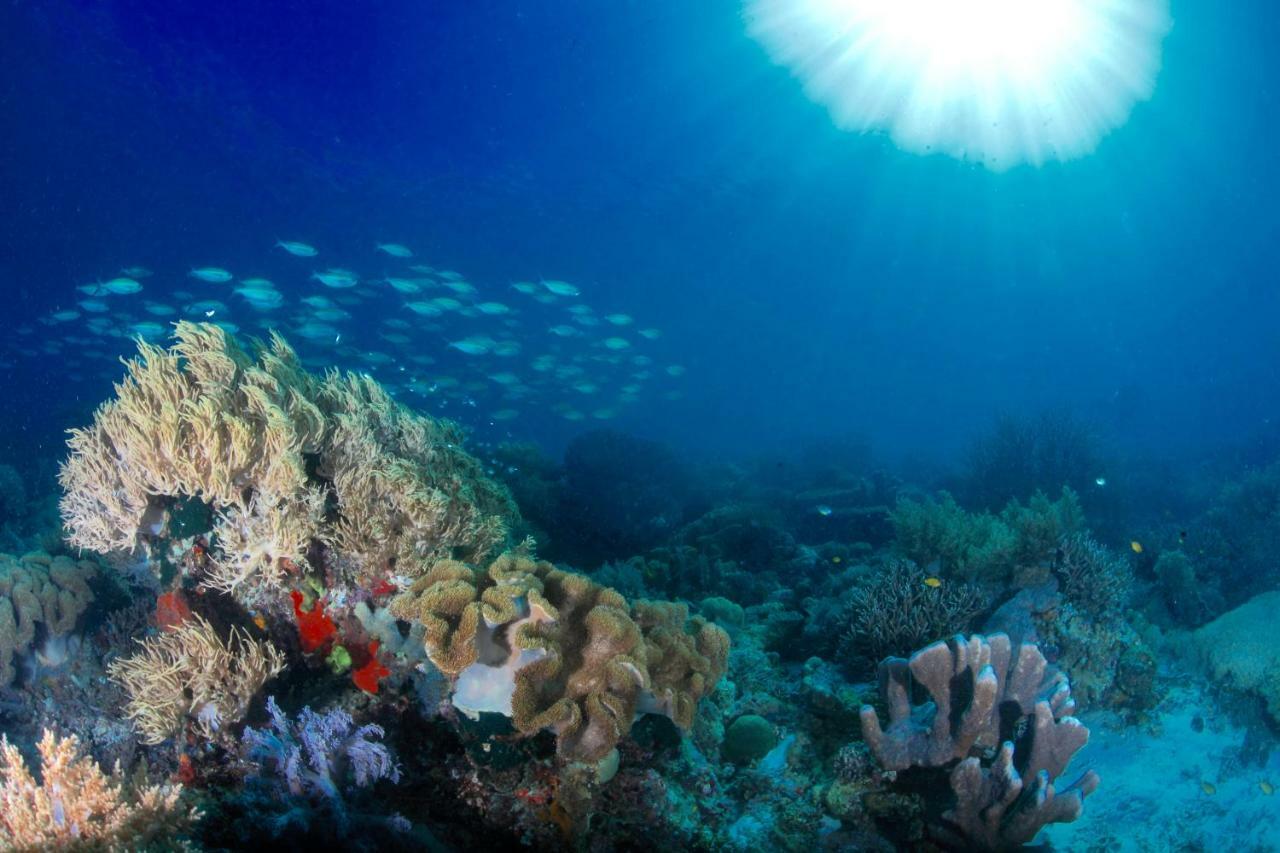 C气泡潜水度假村 C Bubble Diving Resort Dumaguete City Екстериор снимка